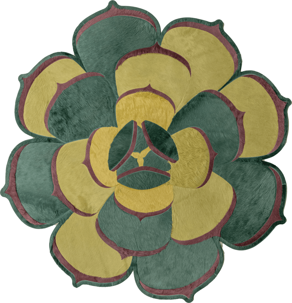 Succulent 3 / Hide Rug / 01440