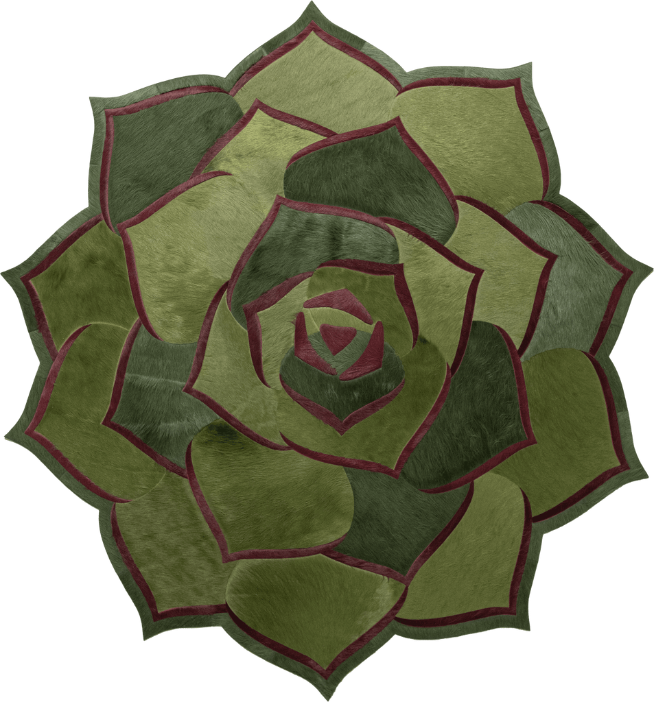 Succulent 1 / Hide Rug / 01435