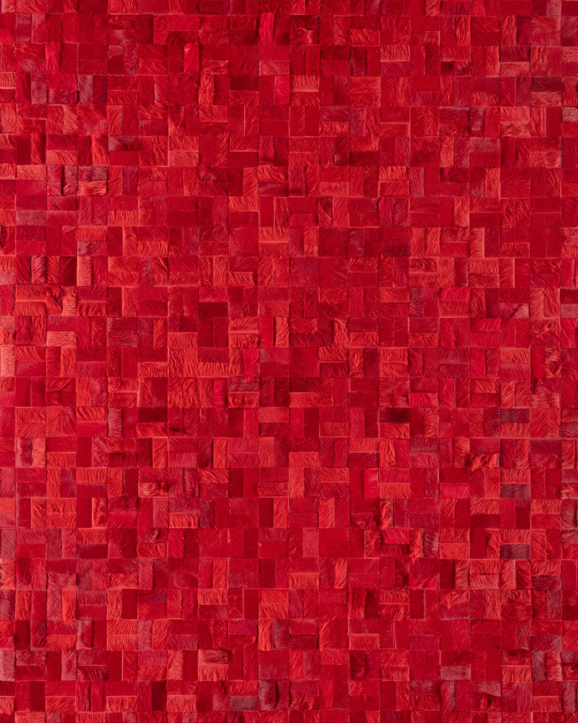Anodyne / Hide Rug / 19161