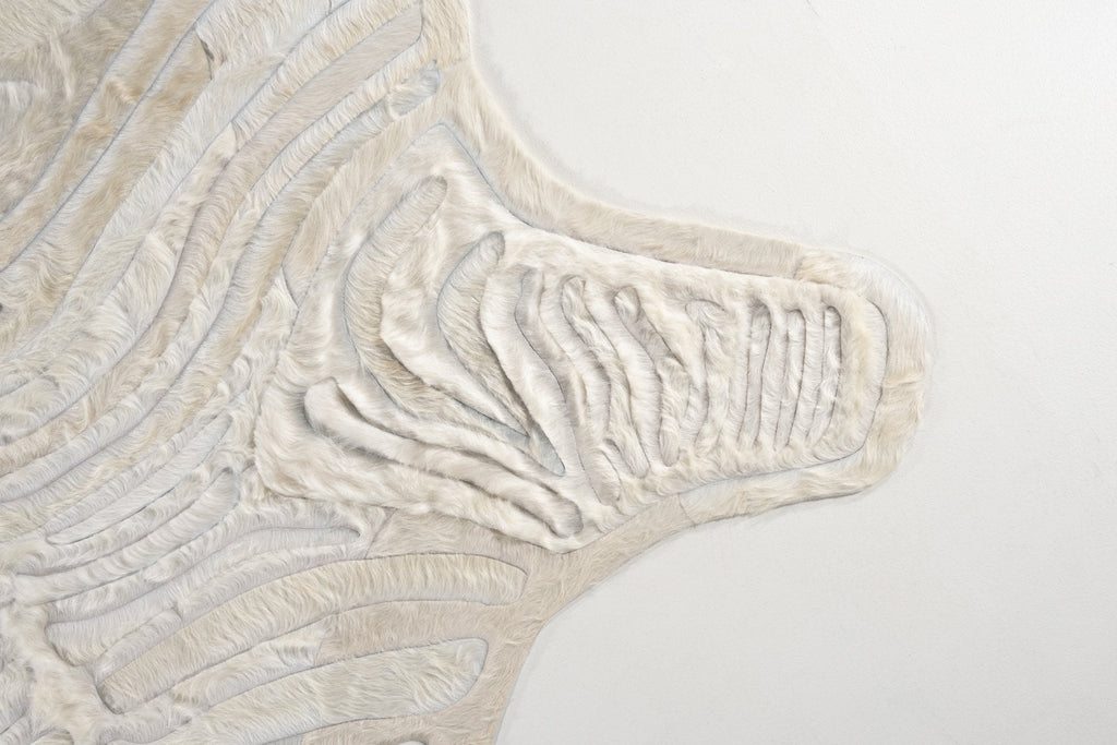Zebra / Hide Rug / 16507