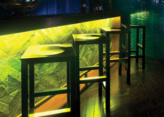 Wester Architecture / Bittersweet / Bar