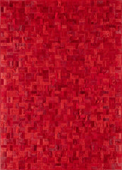 Anodyne / Hide Rug / 19161