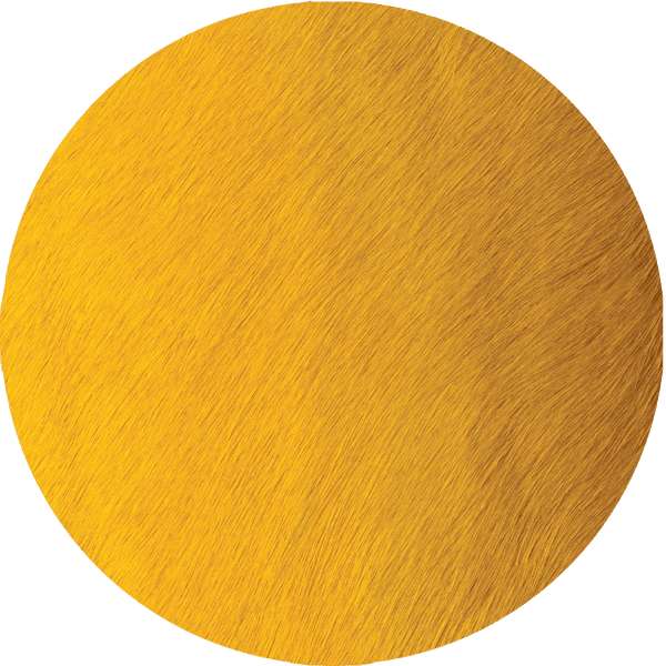 Chick