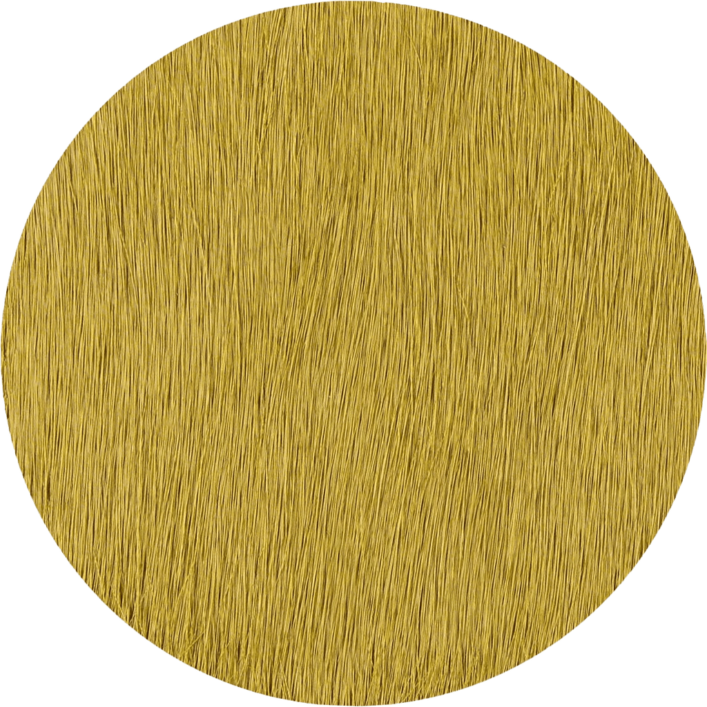 Kelp