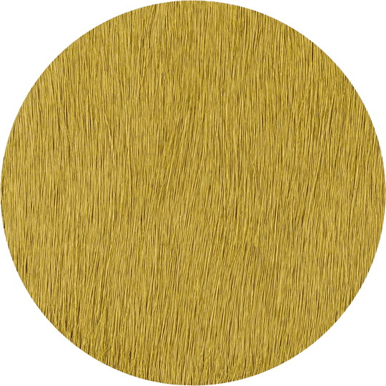 Kelp