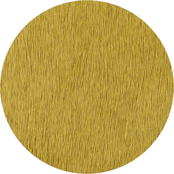 Kelp