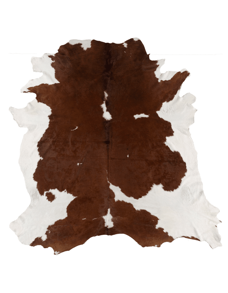 Brown Cloud / 01056