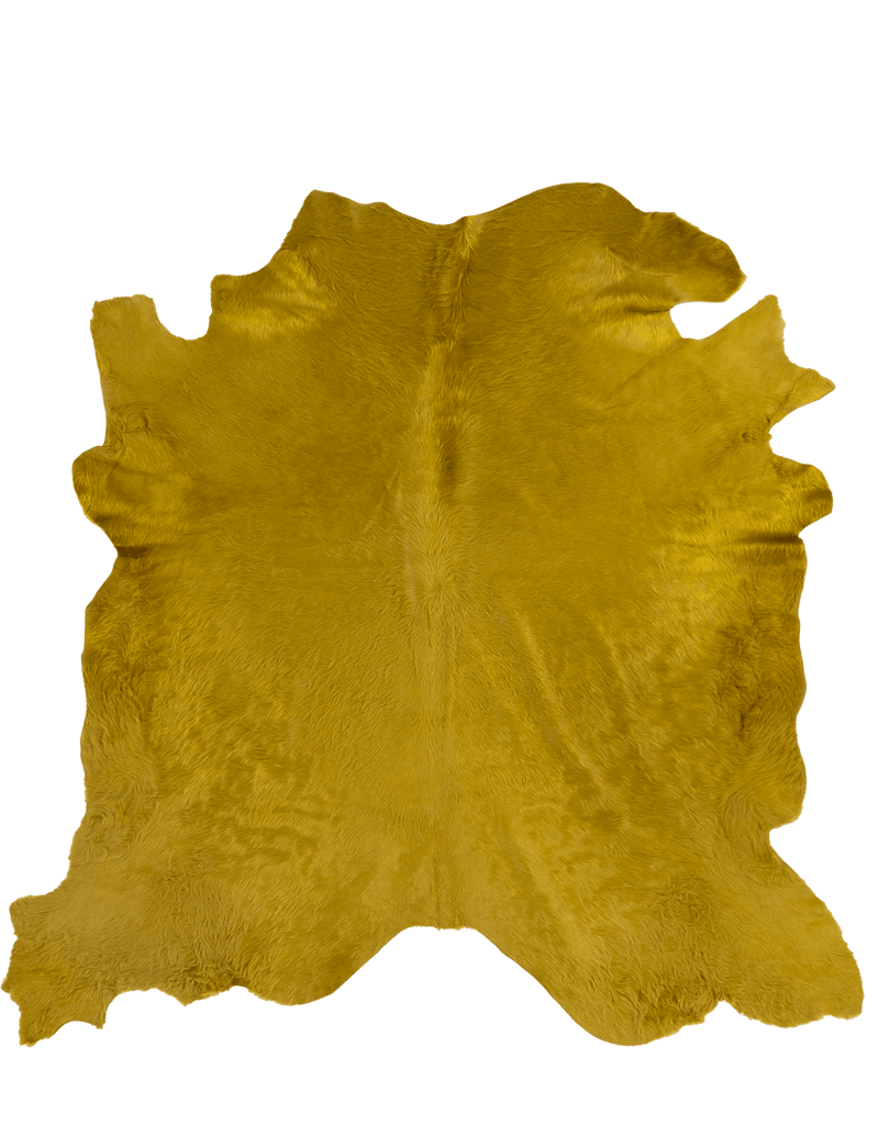 Kelp / 00671