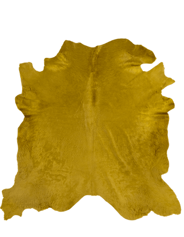 Kelp / 00671