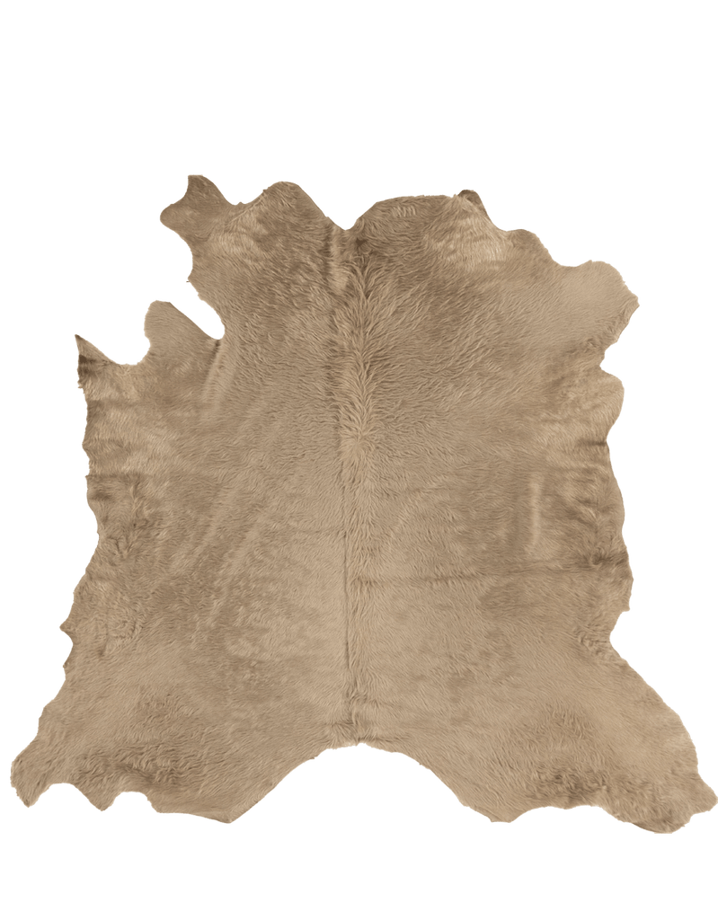 Taupe / 00684