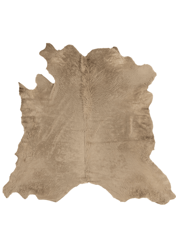 Taupe / 00684