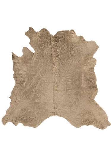 Taupe / 00684