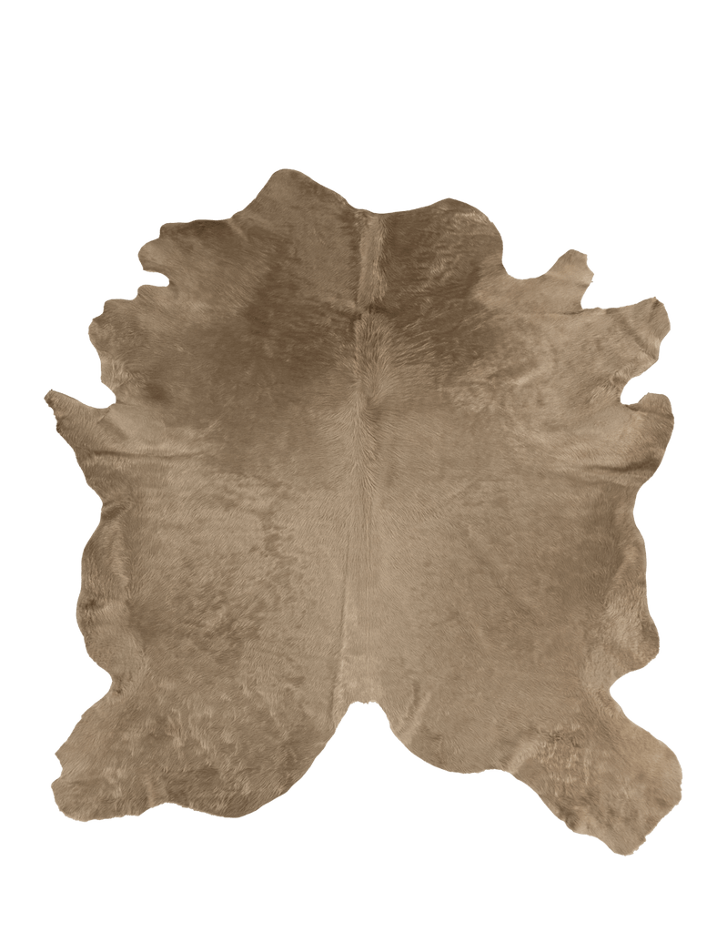 Taupe / 01156