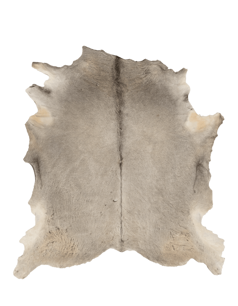 Natural Gray / 01163
