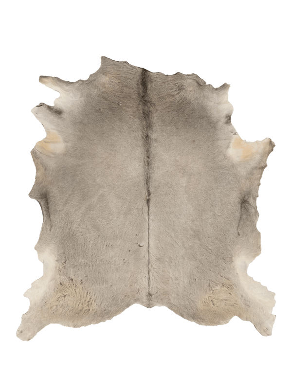 Natural Gray / 01163