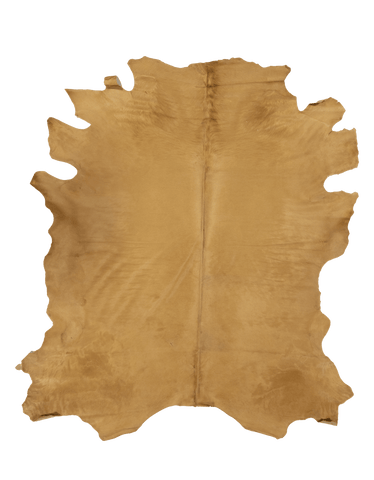 Wheat / 01194