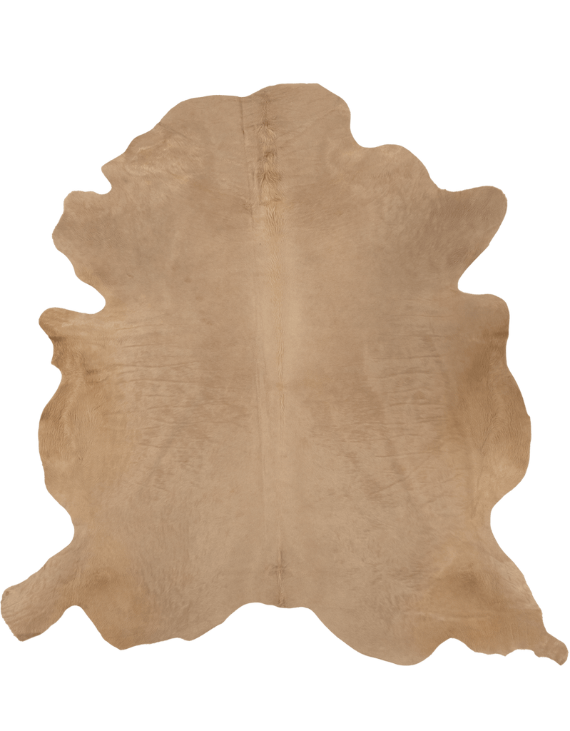 Birch / 01273