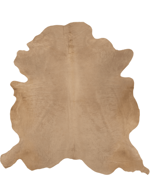 Birch / 01273