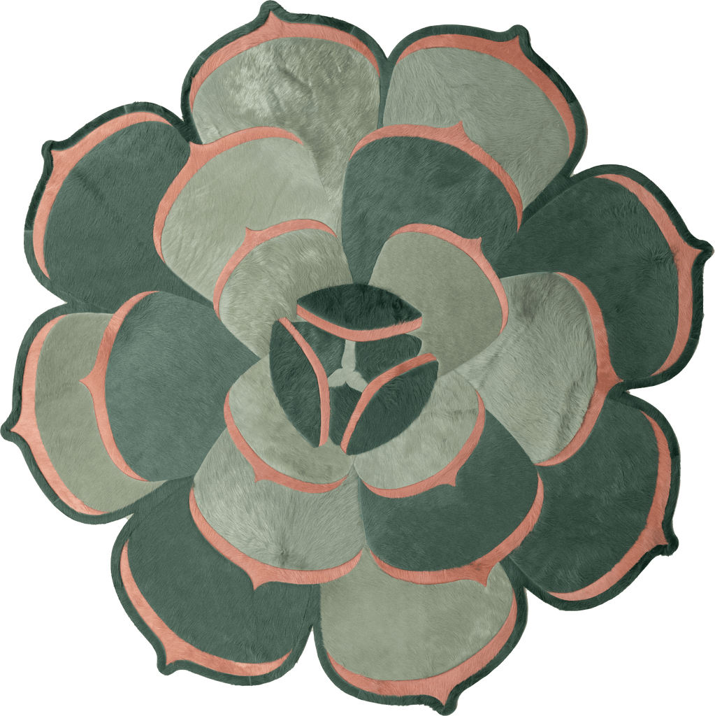 Succulent 2 / 6ft 2in Diameter / 01439