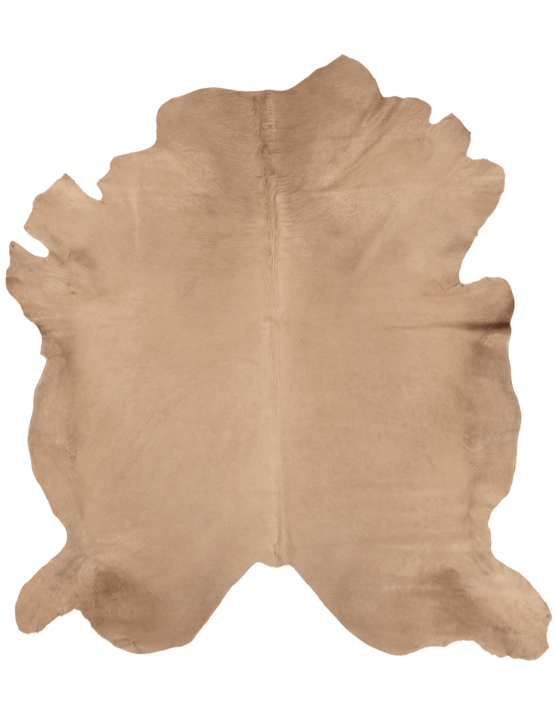 Birch / 01391