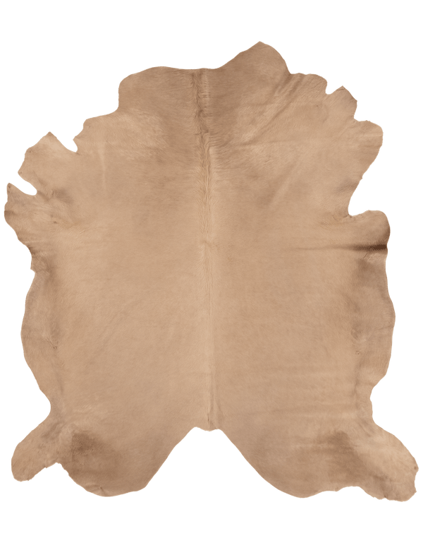 Birch / 01391
