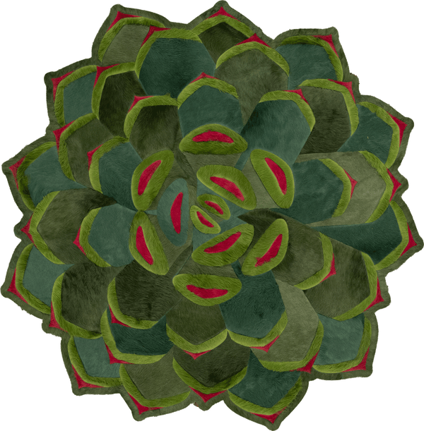 Succulent / 5ft 2in Diameter / 02517