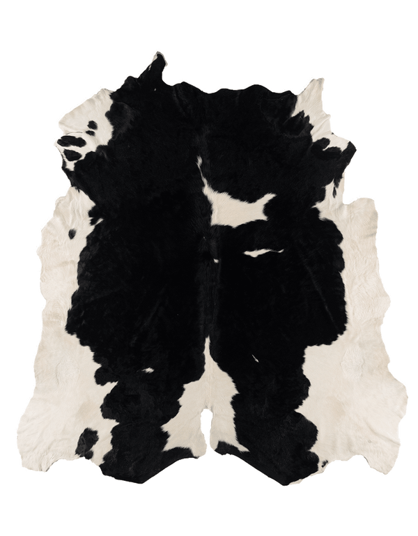 Black Cloud / 00393