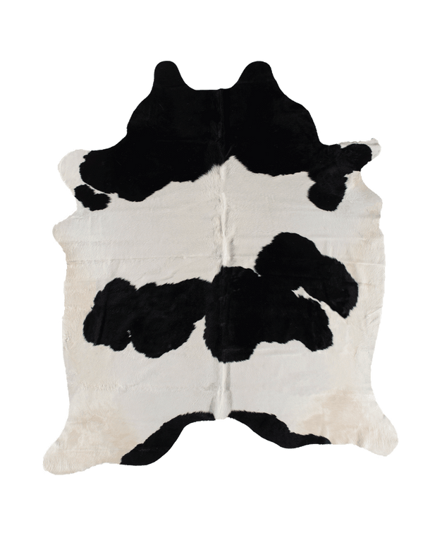 Black Cloud / 00394