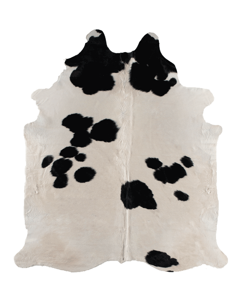 Black Cloud / 00395