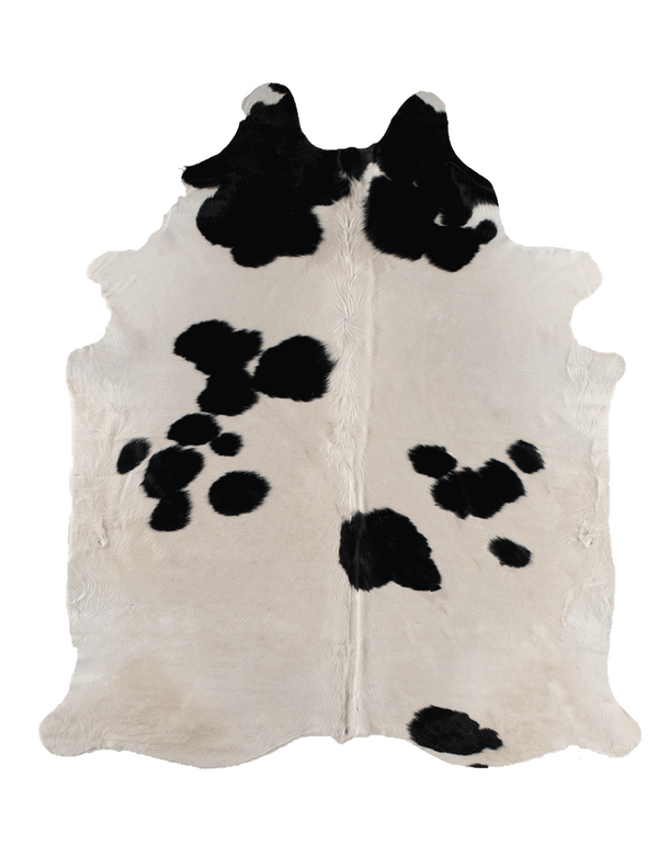 Black Cloud / 00395