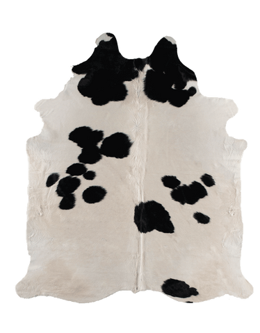 Black Cloud / 00395