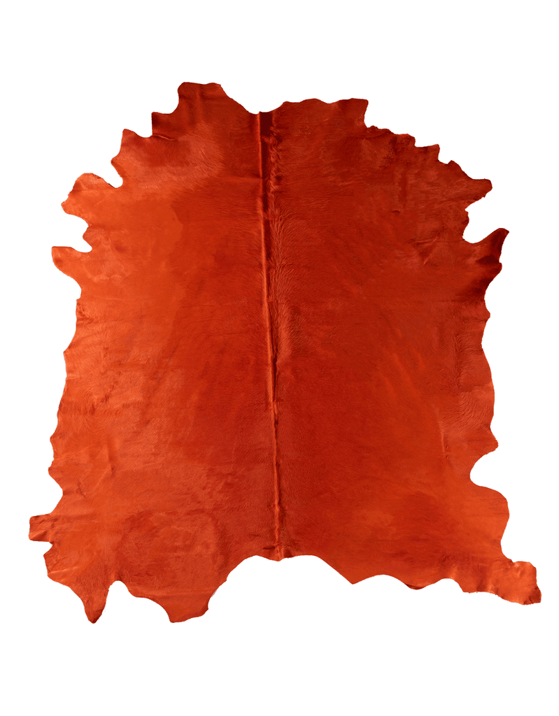 Cone / 00397
