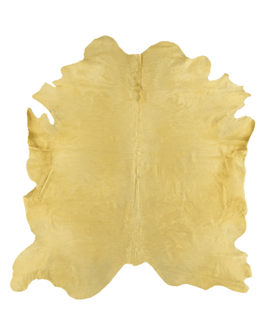 Butter / 00398