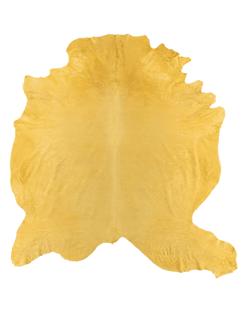 Lemon / 00409
