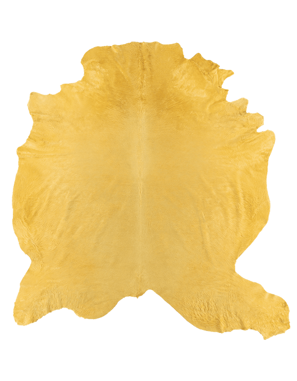 Lemon / 00409