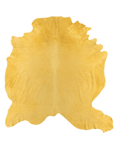 Lemon / 00409