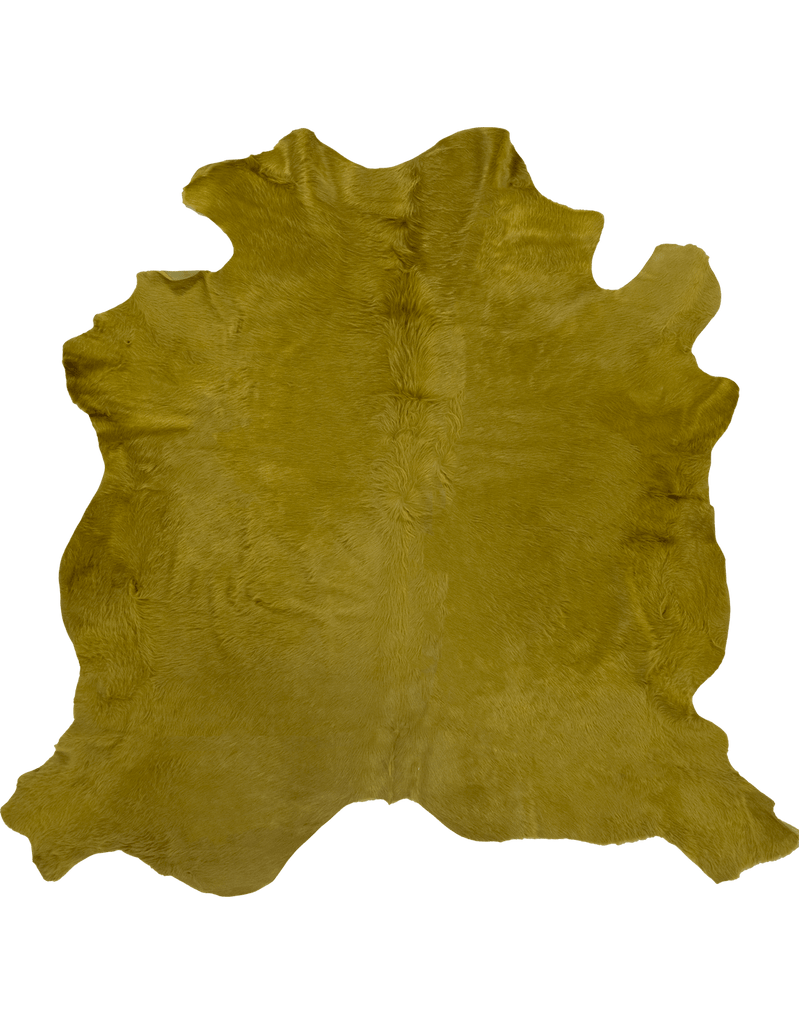Kelp / 00669