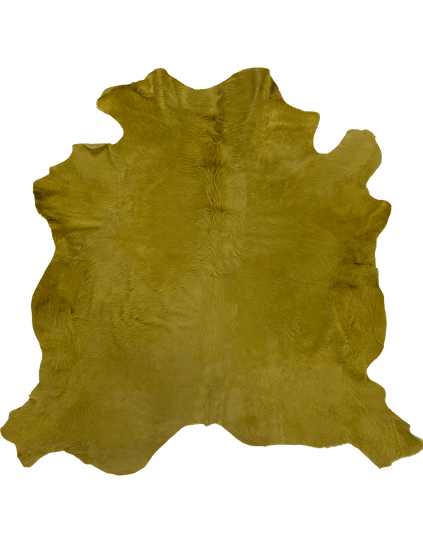 Kelp / 00669