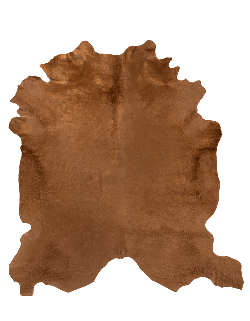 Oak / 00675