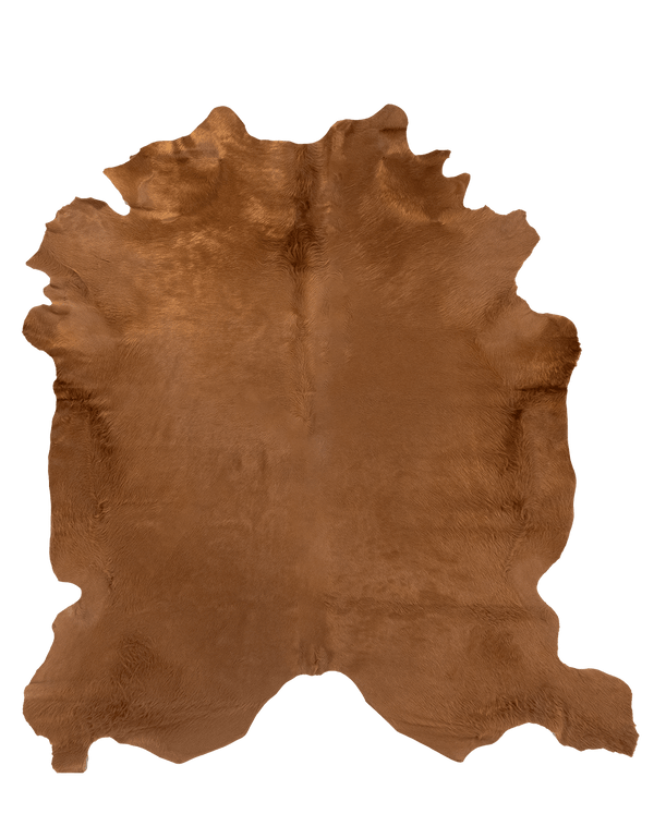 Oak / 00675