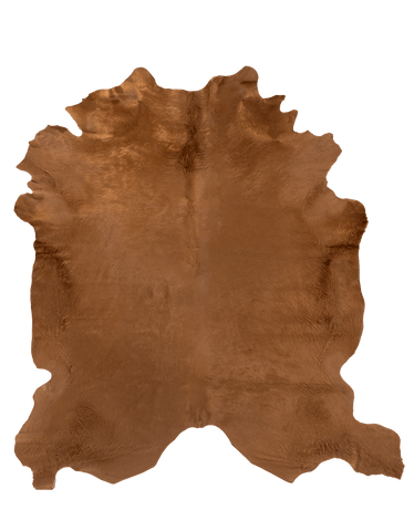 Oak / 00675