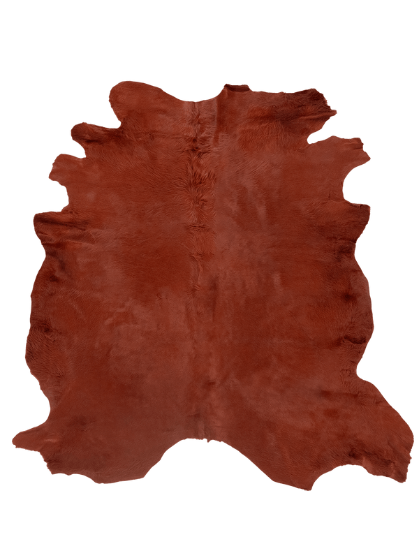 Rust / 00681