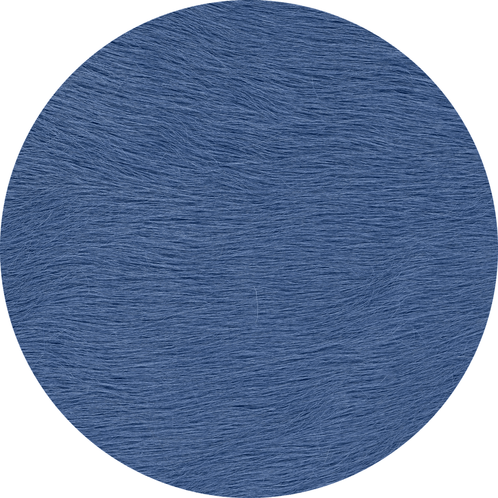Bluebonnet