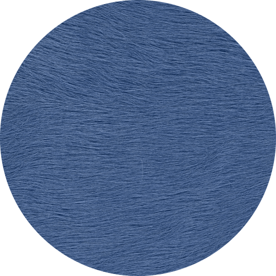 Bluebonnet