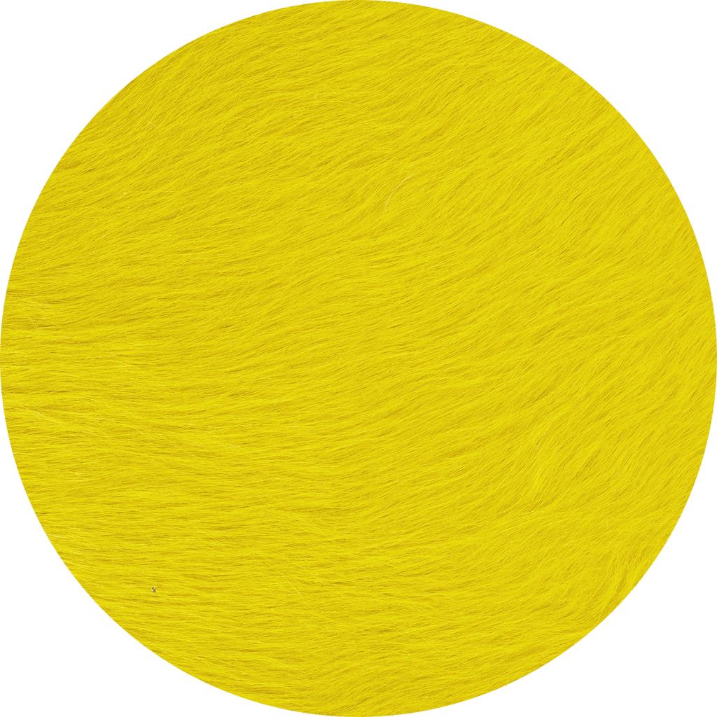 Daffodil