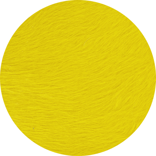 Daffodil