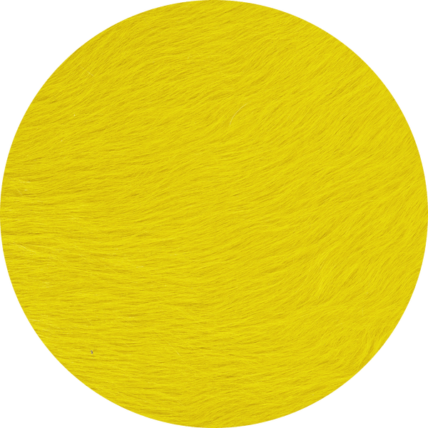 Daffodil