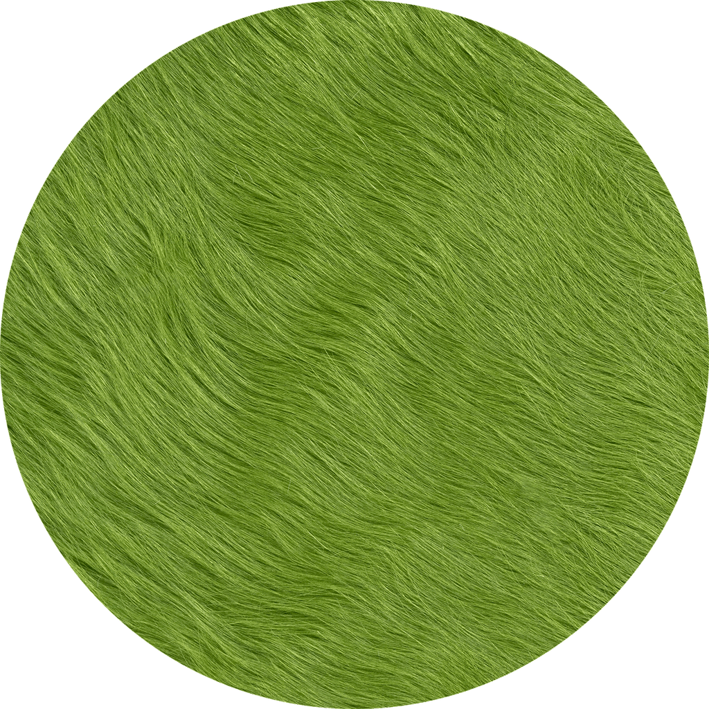Fern