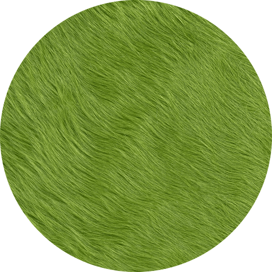 Fern