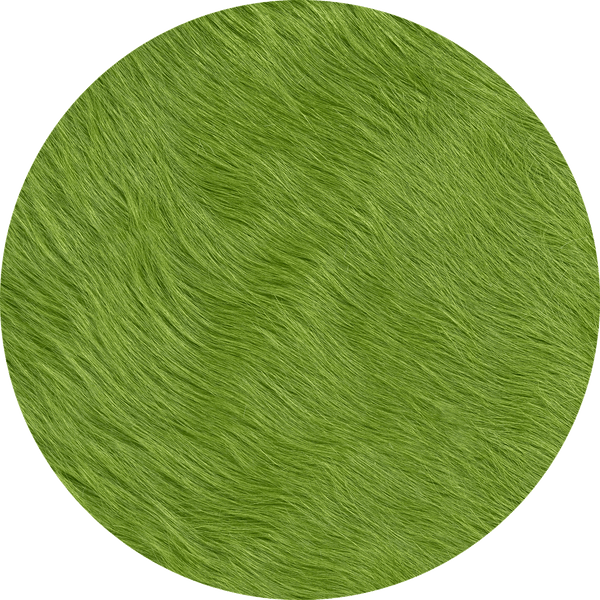 Fern
